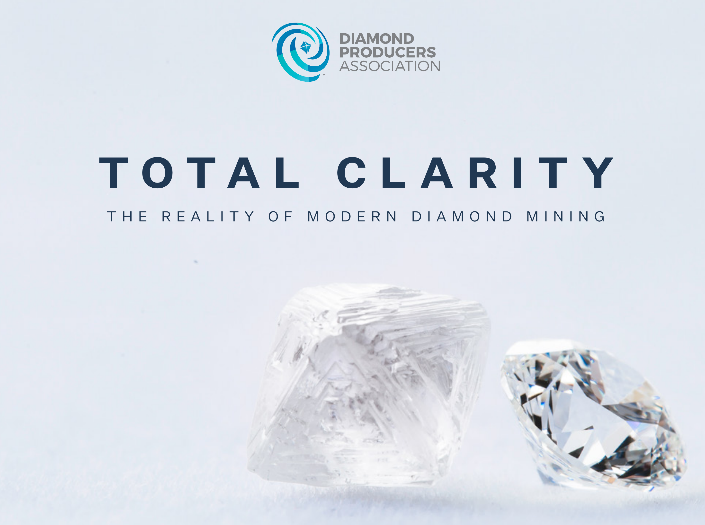 Total Clarity Report